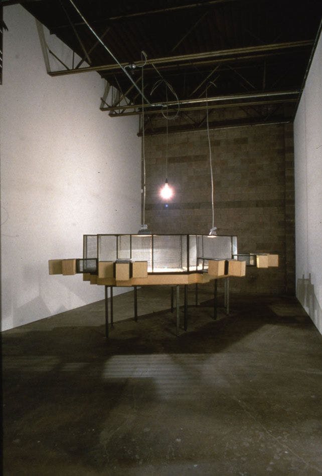 TRUCE Installation 1997