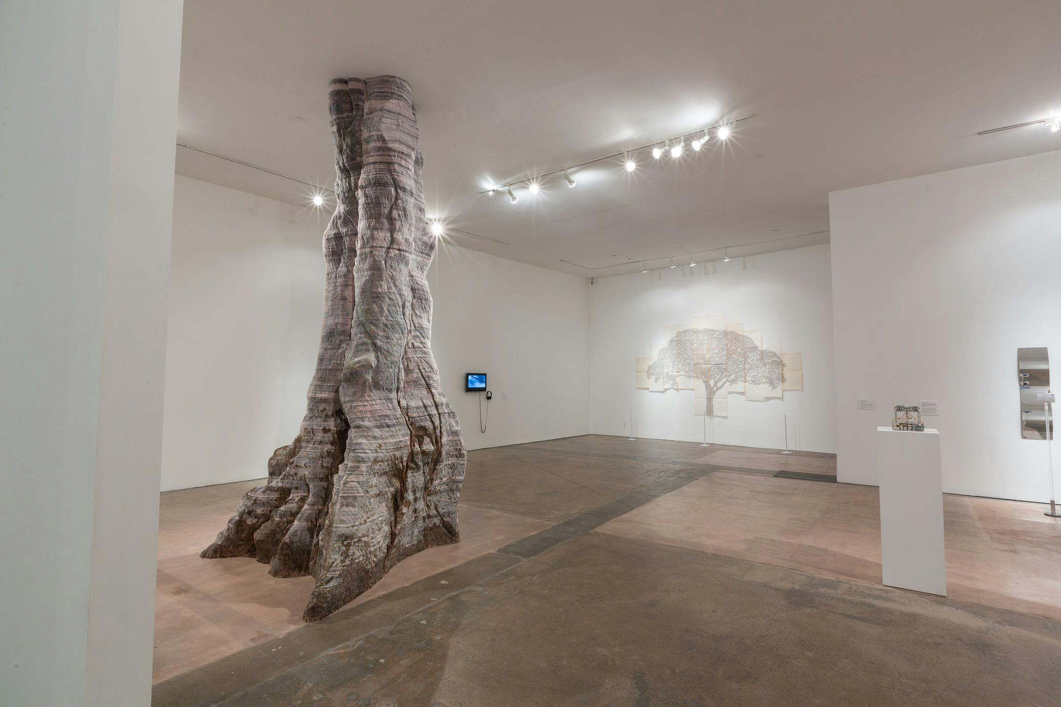 Installation view, SITElines.2014: Unsettled Landscapes, SITE SANTA FE, 2014. Photo by Eric Swanson