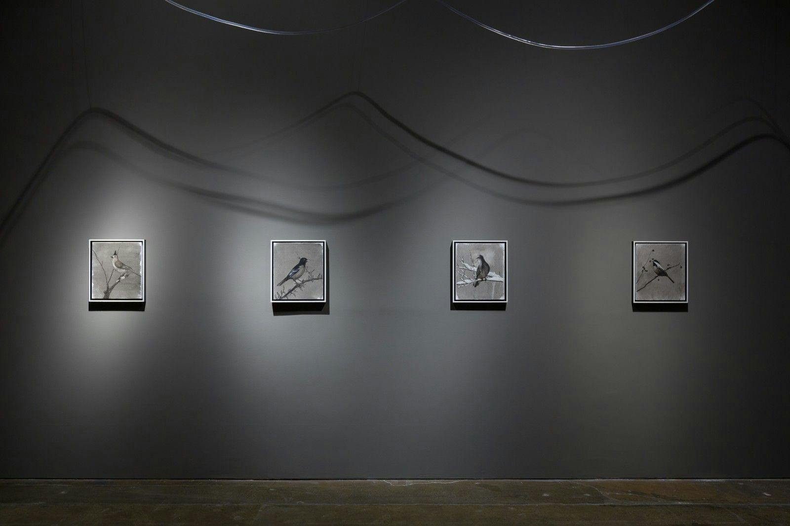 The Pearl, installation view.