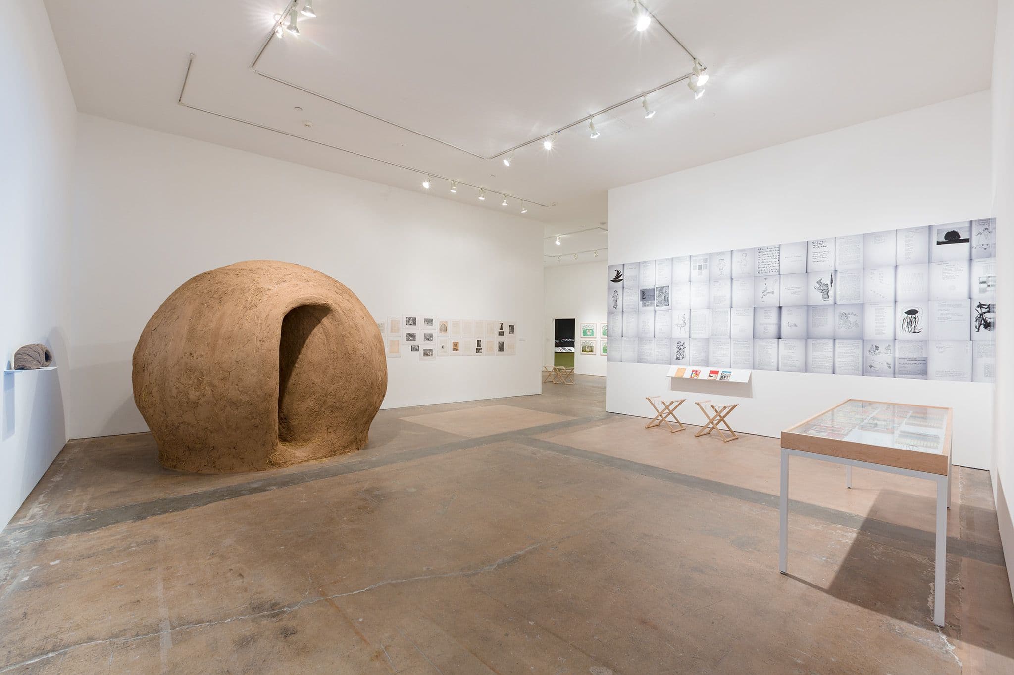 Installation view, SITElines.2016 much wider than a line, SITE SANTA FE, 2016. Photo by Eric Swanson